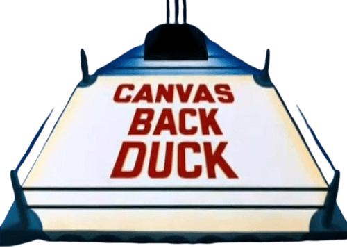 Canvas Back Duck