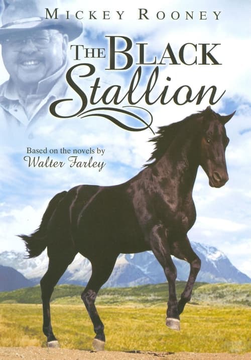 The Adventures of the Black Stallion