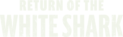Return of the White Shark