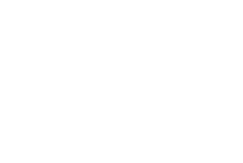 The Man Who Stole Einstein's Brain
