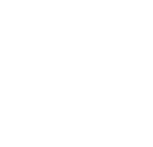 Kung Fu League