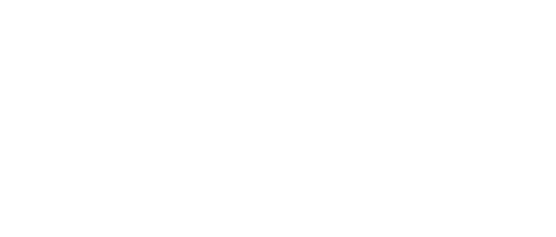 Light of My Lion