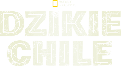 Wild Chile