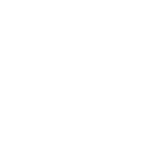 The Elizabeth Smart Story