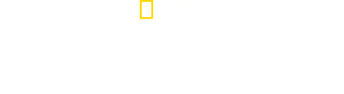 Critter Fixers: Country Vets