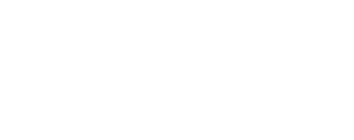 Revolutionary Love