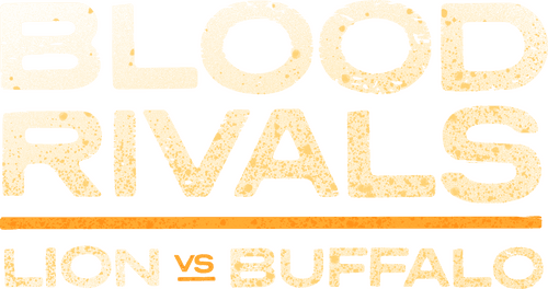 Blood Rivals: Lion vs Buffalo