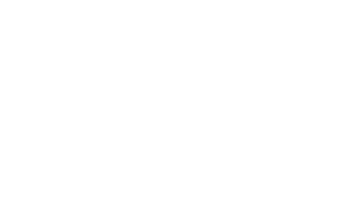 SKI