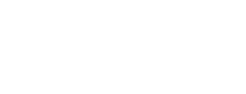 The Assassin