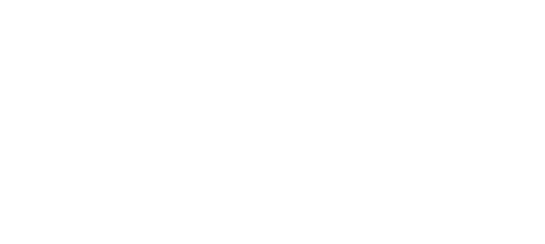 The Pregnancy Scheme
