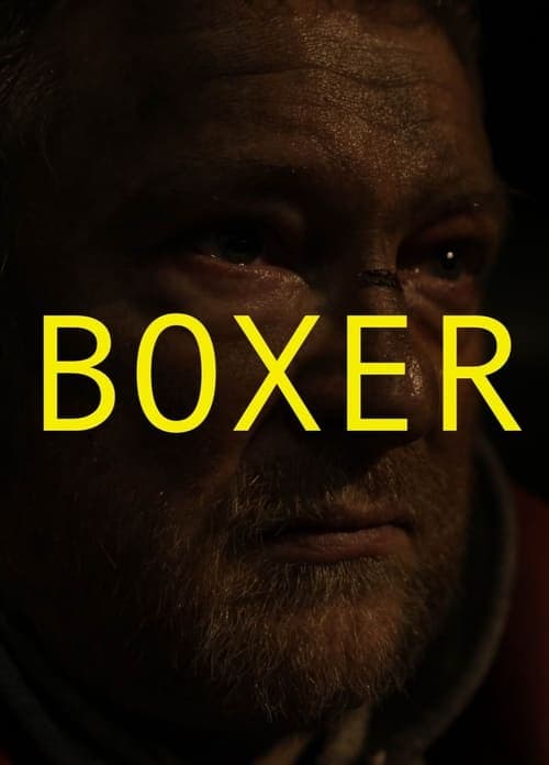 Boxer