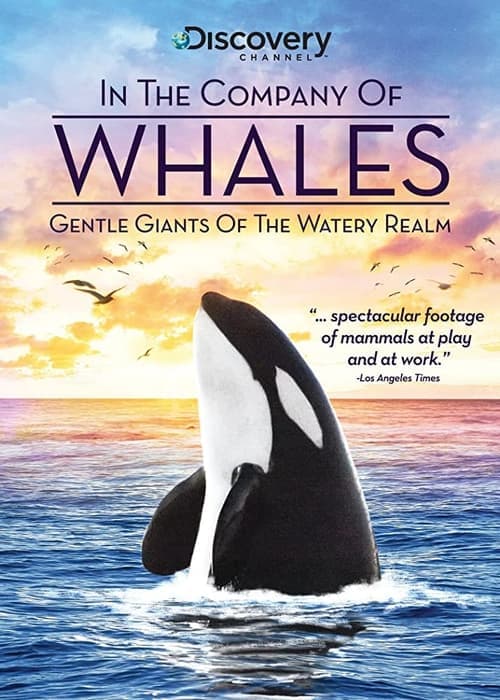 In the Company of Whales