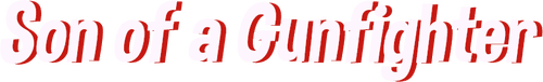 Son of a Gunfighter