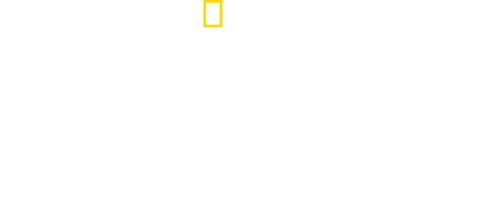 Disasters Engineered