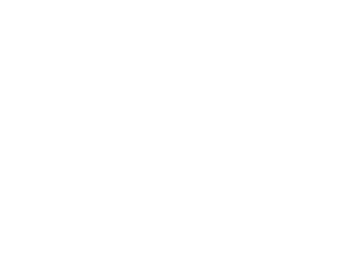 Tô Nessa