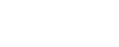 Kompani Svan