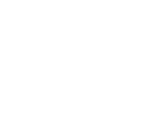 The Bloody Hundredth