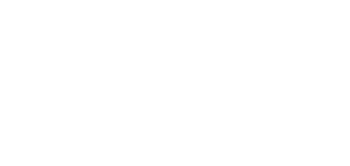 The Creative Brain