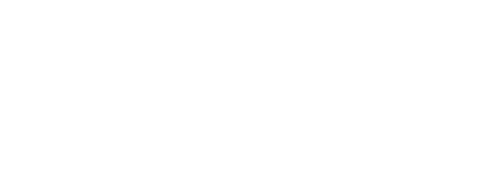 Twins Mission