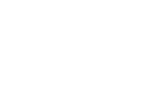 The Fisher King