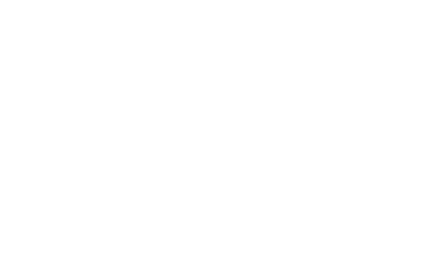 One Crazy Summer