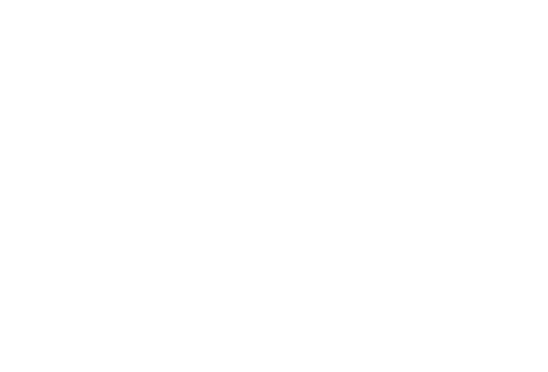 The Dazzling Light of Sunset