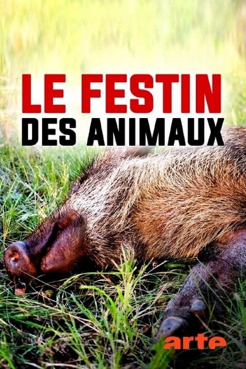 Le festin des animaux