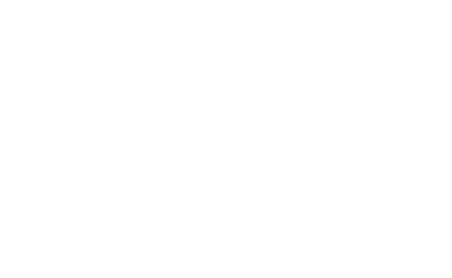 The Stolen Battle