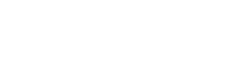 Basic Bitch