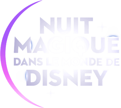 Magical Night in Disney World