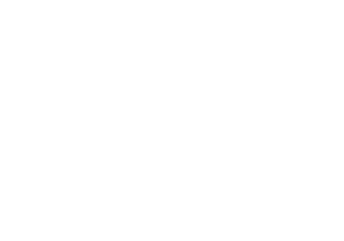 The Blossoming Love