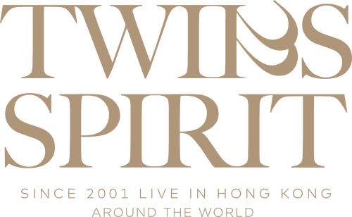 Twins SPIRIT Since 2001 Live 2024