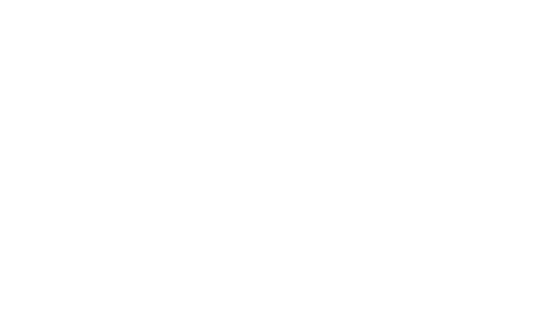 Four Lions