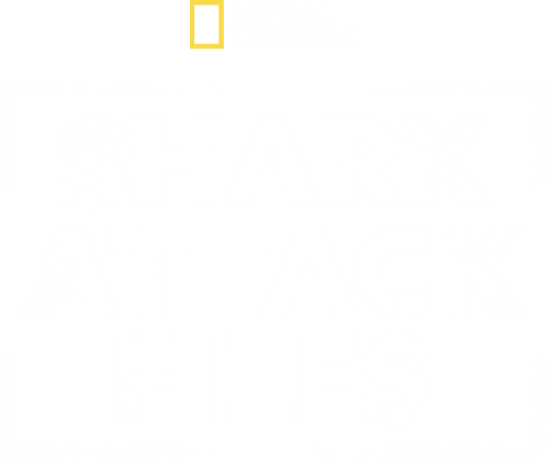 Shark Attack Files