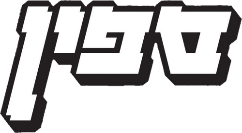 ספין