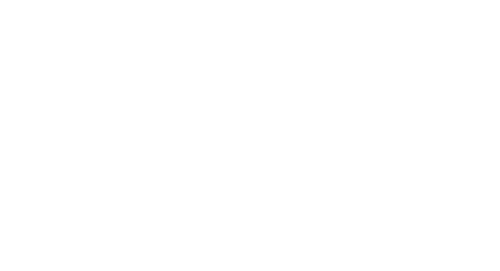 Hustle In Brooklyn