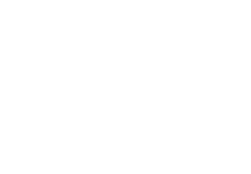 The Atom Ant Show