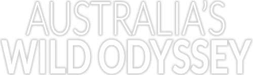 Australia's Wild Odyssey