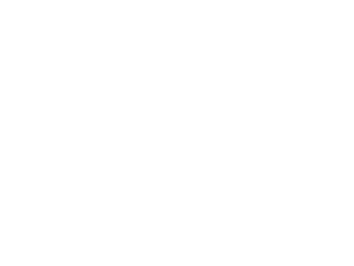 Never Seen Again
