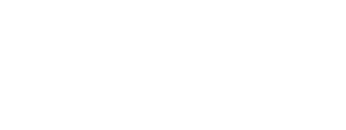 Bitz and Bob