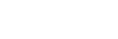 The Mimic