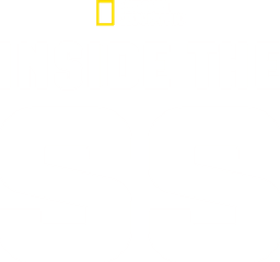 Inside the SS