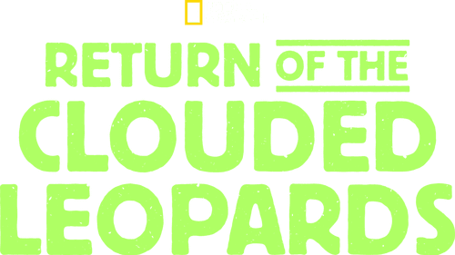 Return of the Clouded Leopards