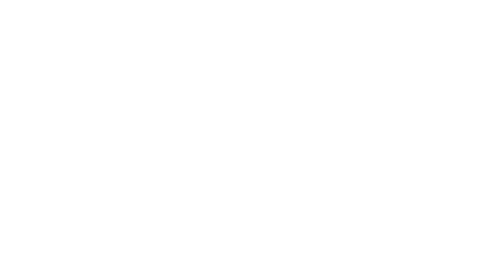 The Hidden Fox