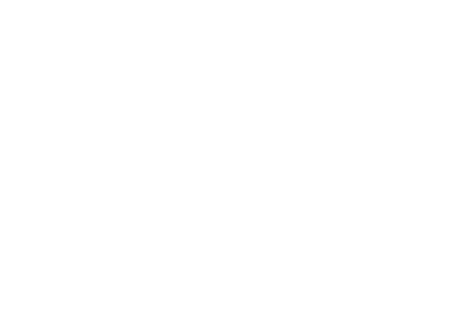 The Desert Fox: The Story of Rommel