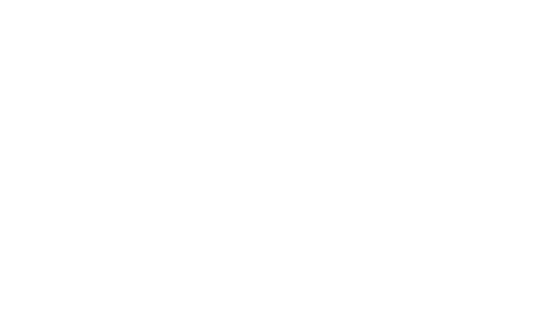 The Conservation Game