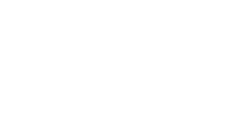 Лихая парочка
