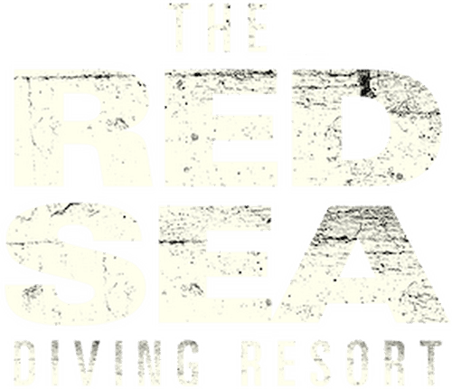 The Red Sea Diving Resort