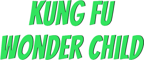 Kung Fu Wonder Child