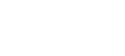 Modest Heroes